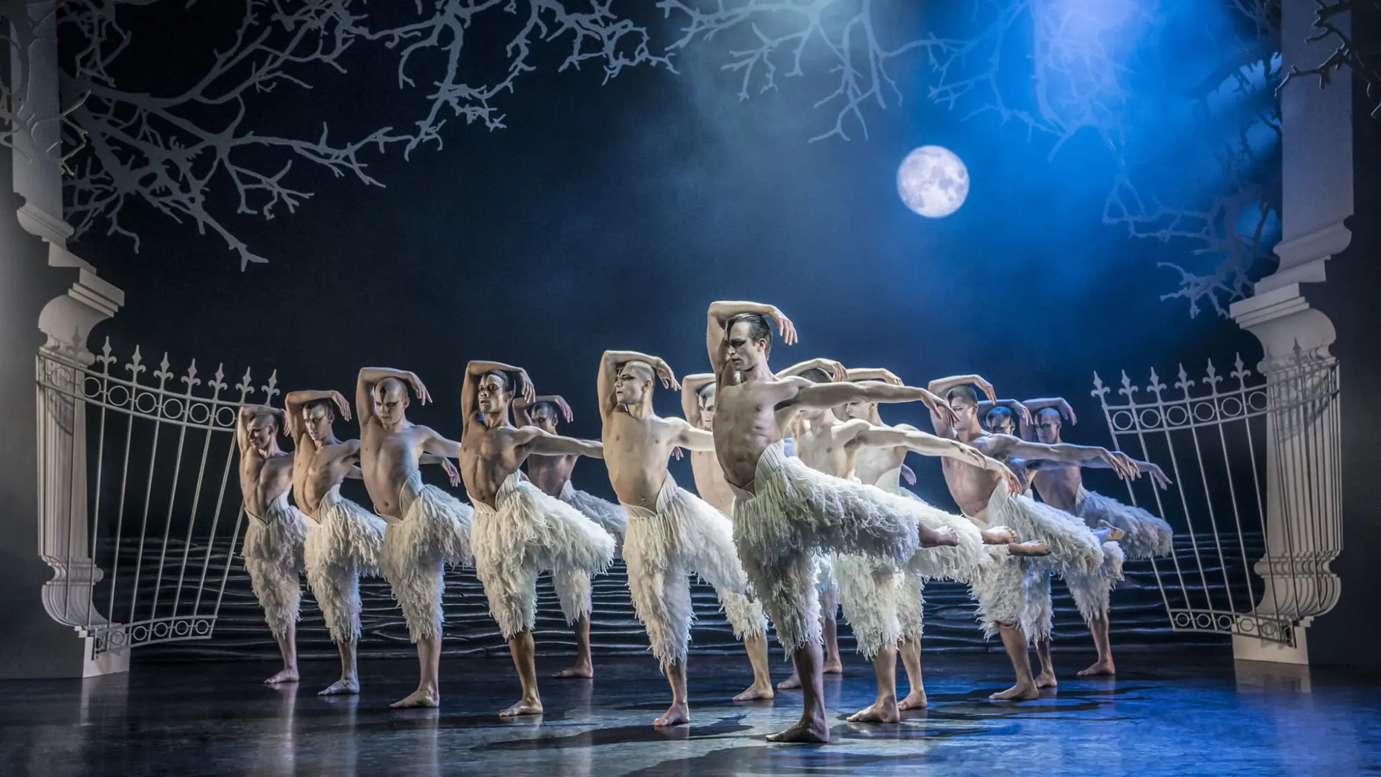 Matthew Bourne’s Swan Lake – Screening