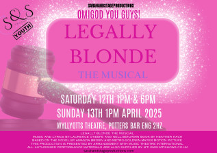 Legally Blonde The Musical