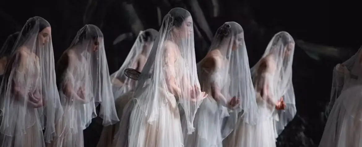 Giselle – RBO Screening